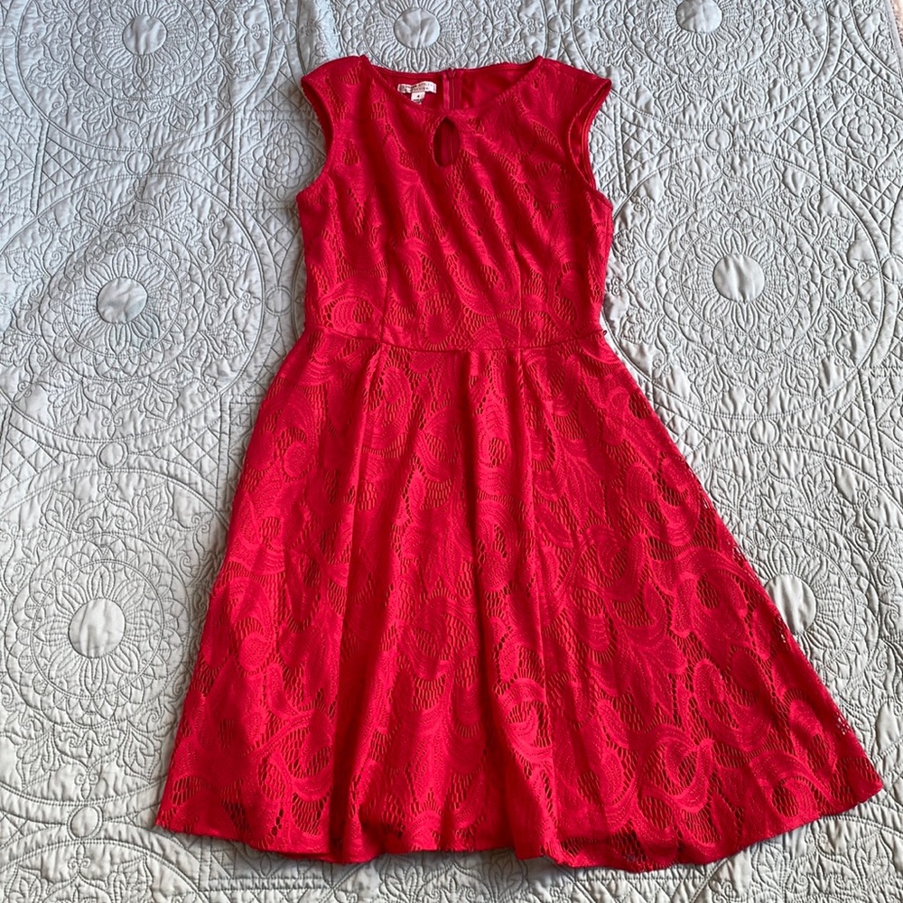 London Style Lace overlay dress